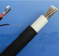 WDZ-DCK，WDZ-DCKP-125，DCEVM機車電纜